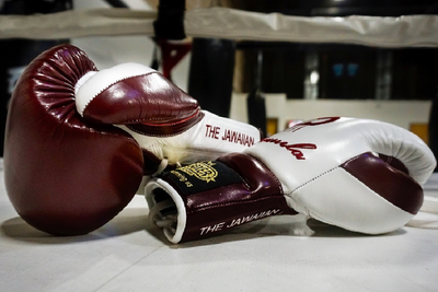 Topboxer custom gloves hotsell
