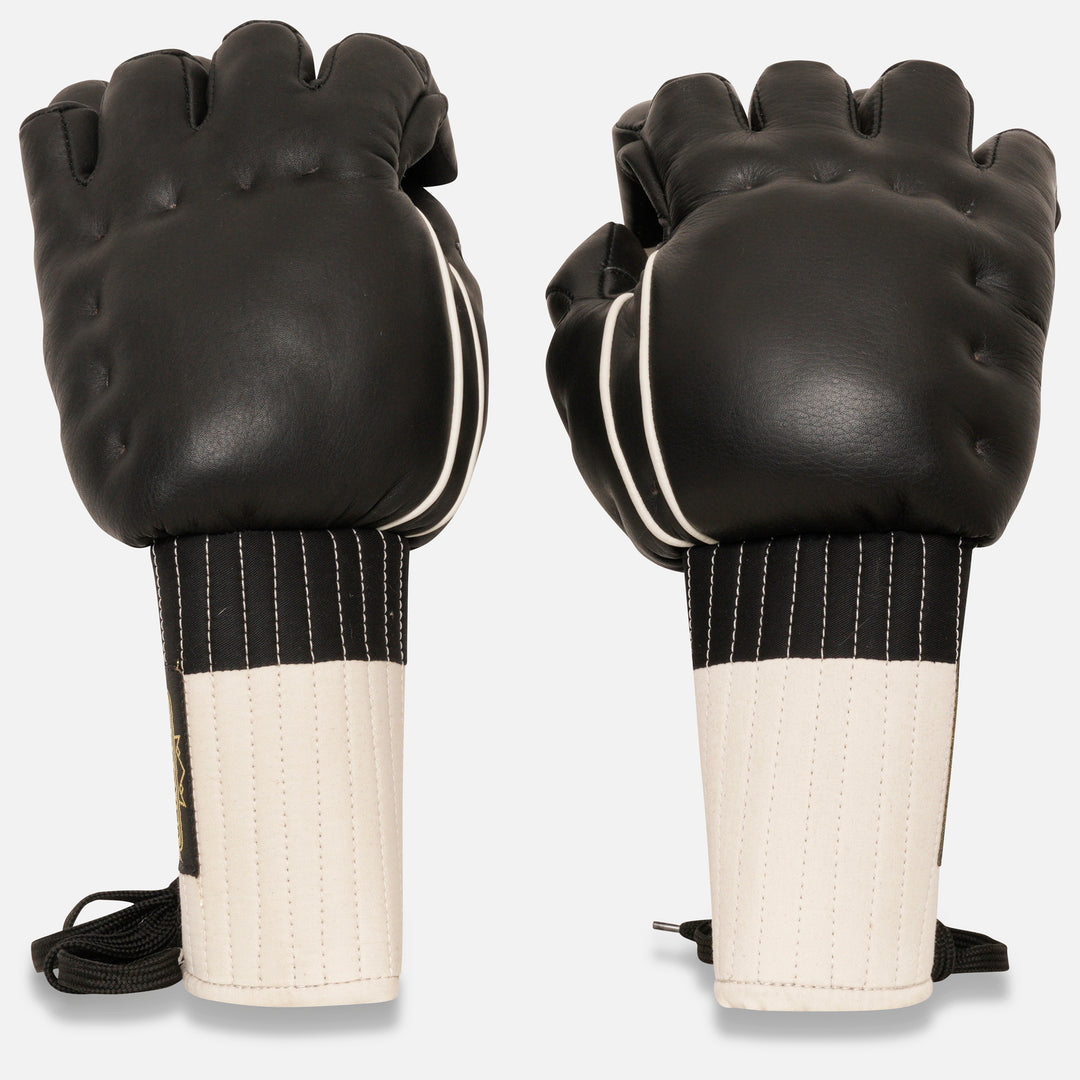 Dragon Kenpo Gloves – TopBoxer Custom Boxing Equipment